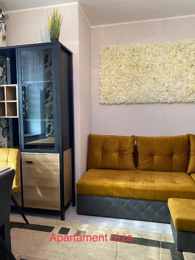 Apartament Roza Wierzchucino Bagian luar foto